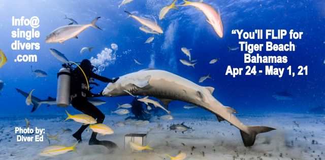 TIger Beach Apr 24-May 1, 2021