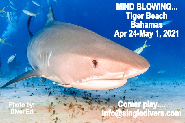 TIger Beach Apr 24-May 1, 2021