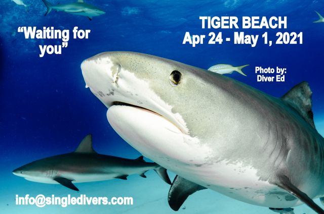 TIger Beach Apr 24-May 1, 2021