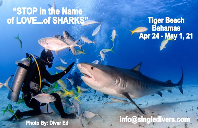 TIger Beach Apr 24-May 1, 2021