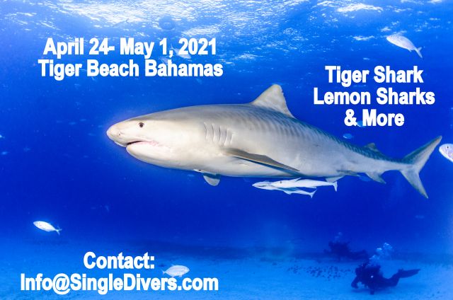 TIger Beach Apr 24-May 1, 2021