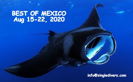 2020 POSTER BOMex Manta