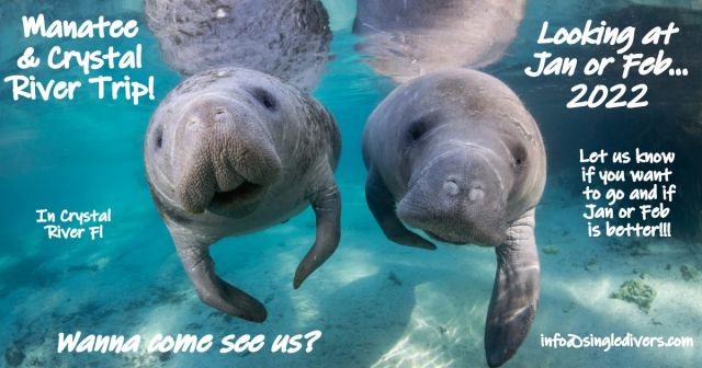 Manatee Trip POSSIBLE 2022