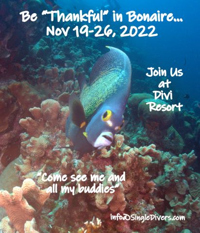 2022 POSTER BON Angel P8100478