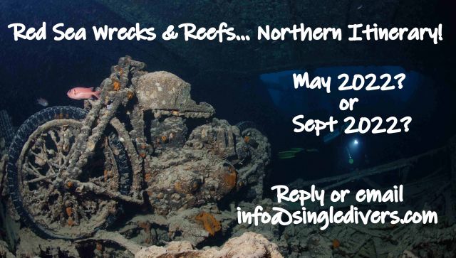 2022 Red Sea trip SURVEY Thistlegorm3