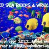 2022 SURVEY Red Sea coral