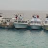 Divi Dive Boats