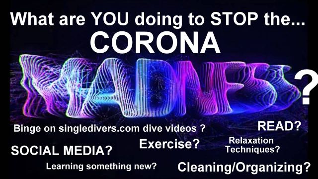 WHAT DO YOU do to STOP THECORONA  MADNESS?