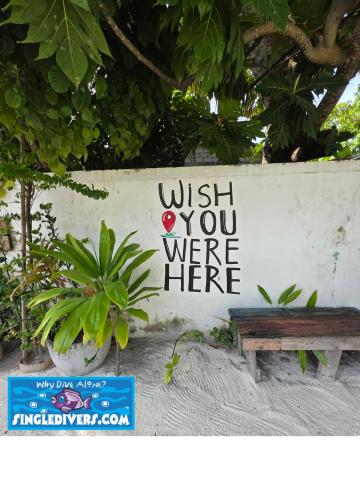 Wish You Were Here