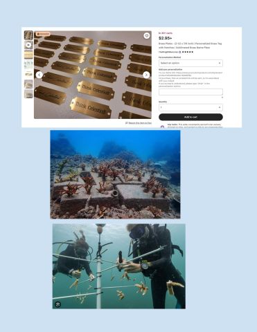 coral rehabilitation Name Tags