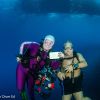 500 Dives April 2025