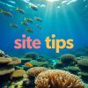 SiteTips4