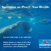 Whale Shark Food