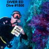2025 ED Tubbatah dive 1600   Jun newsletter