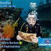 Eustatius Halloween 2025 V9