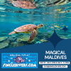 Maldives Dive V1