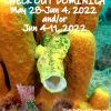 SD POSTER DOM For 2022 Frogfish P1010097