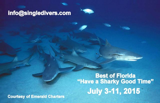 Cc 2015 AD Florida Sharks Walt Palm Beach 008