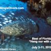Cc 2015 Groupers Walt Palm Beach 007