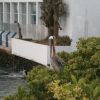 Pelican near the boardwalk in Puerto Ayora