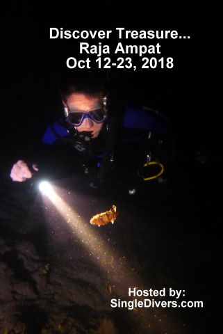 SD POSTER RAJ 2018 ORIGINAL P1340611