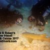 2017 T&C Jose   Susan   Nurseshark GOPR2851