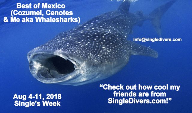 2018 Whaleshark BOMexico POSTER