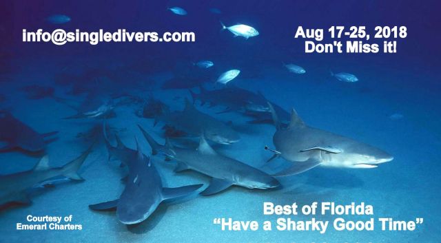 2018 Sharks from Randy's Site