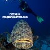 POSTER Cuba 6 Goliath   Diver