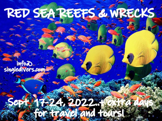 SD POSTER Sept Red Sea 2022coral
