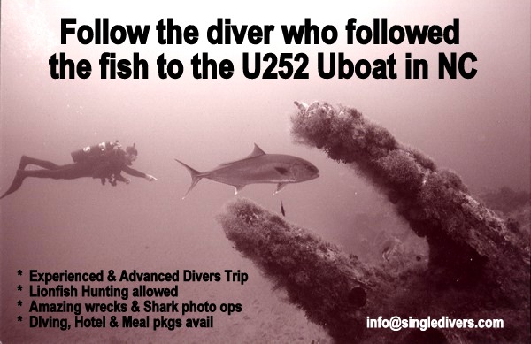 SD POSTER 2020 diver fish uboat