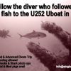 SD POSTER 2020 diver fish uboat