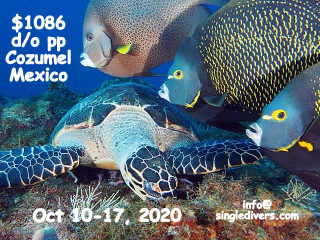 Poster Oct 2020 Cozumel