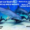 FINAL SD ROATAN 2022 TRIP Dolphin Dive 2