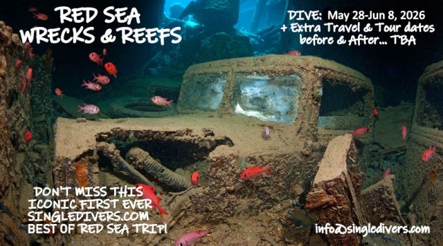 2026 POSTER Red Sea