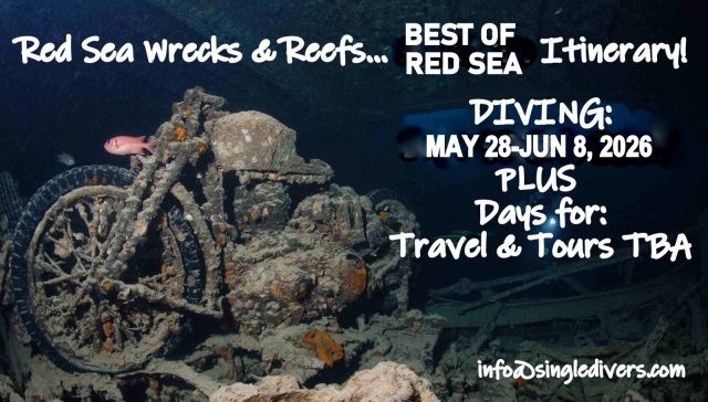 2026 POSTER Red Sea wrecks