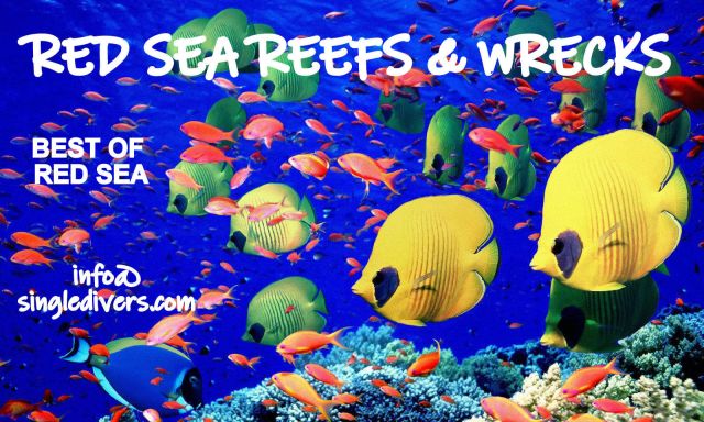 2026 POSTER Red Dea ocean