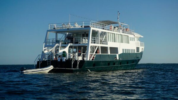 jardines avalon 3 cuba cruise ship 600x338