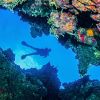 cayman brac diver above between reef 1060x403 Min