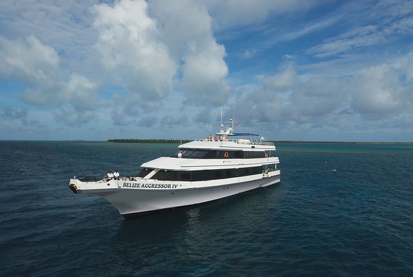 Belize IV Yacht GRAY HULL M