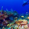 Belize underwater 10