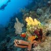 Belize underwater 11