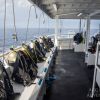 Belize dive 1