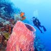 Belize underwater 5