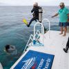 Belize dive 2