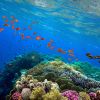 Belize underwater 6