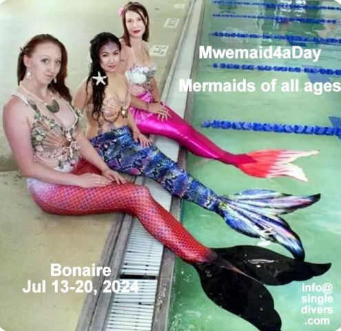 SD mermaids4aday2