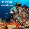 Angel reef SD poster 2025)
