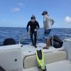 Whaleshark Onboard