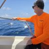 Whaleshark 1